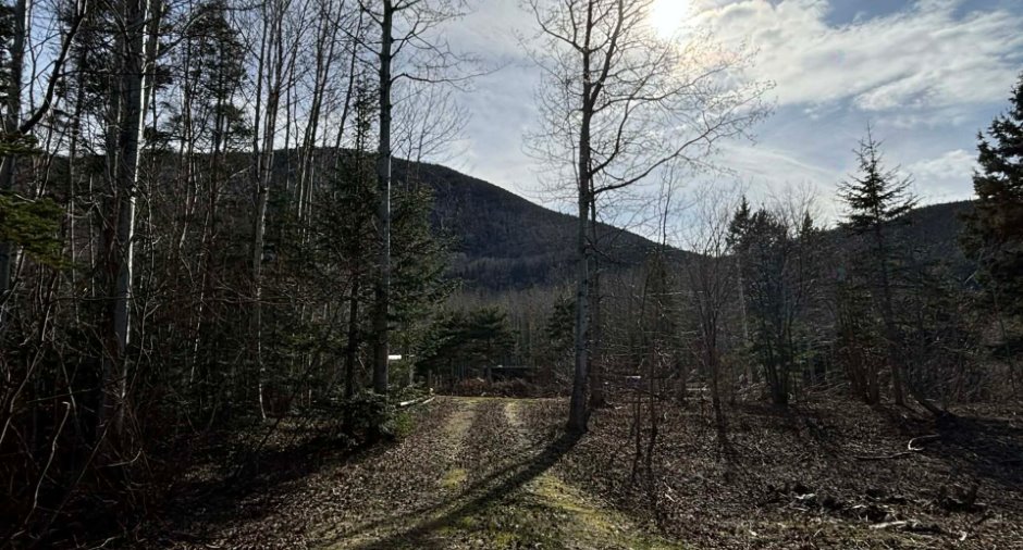 Land/Lot