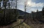 Land/Lot