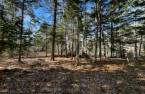 Land/Lot