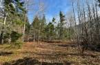 Land/Lot