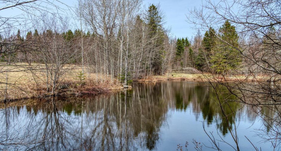 Accès au plan d'eau