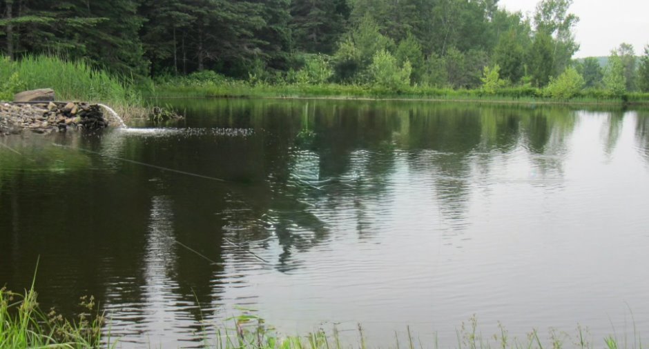 Accès au plan d'eau