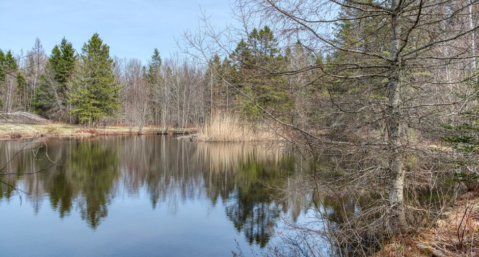 Accès au plan d'eau