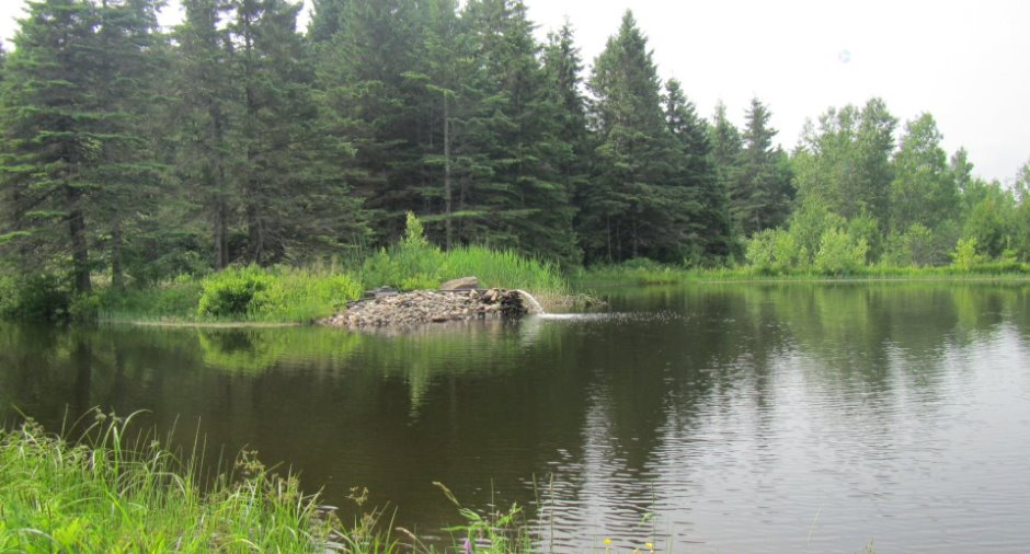 Accès au plan d'eau