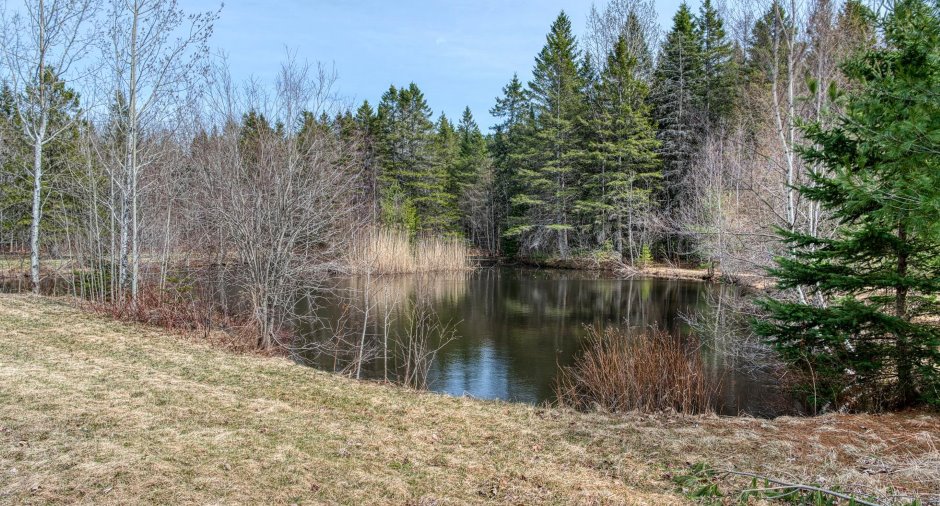 Accès au plan d'eau