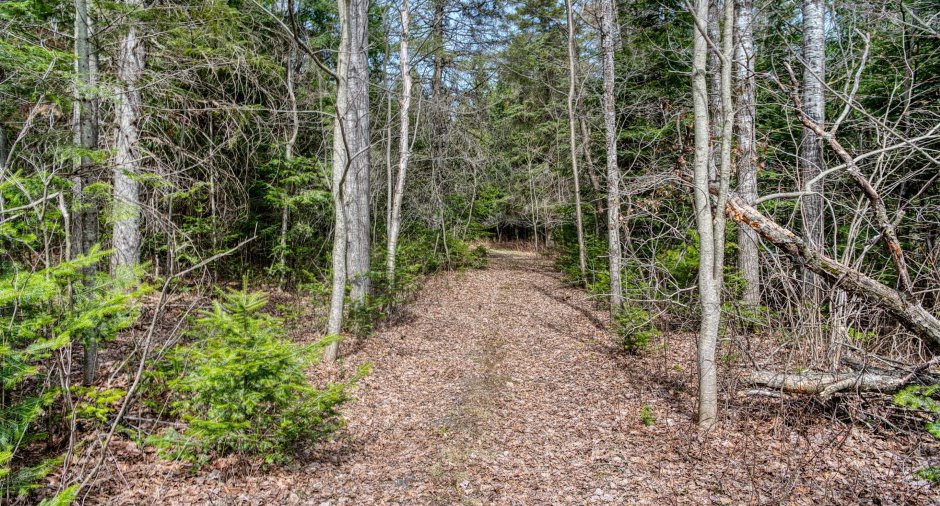 Terre à bois
