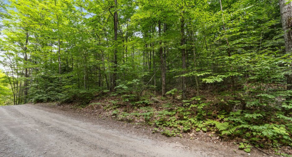 Terre/Terrain