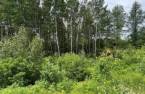 Terre/Terrain