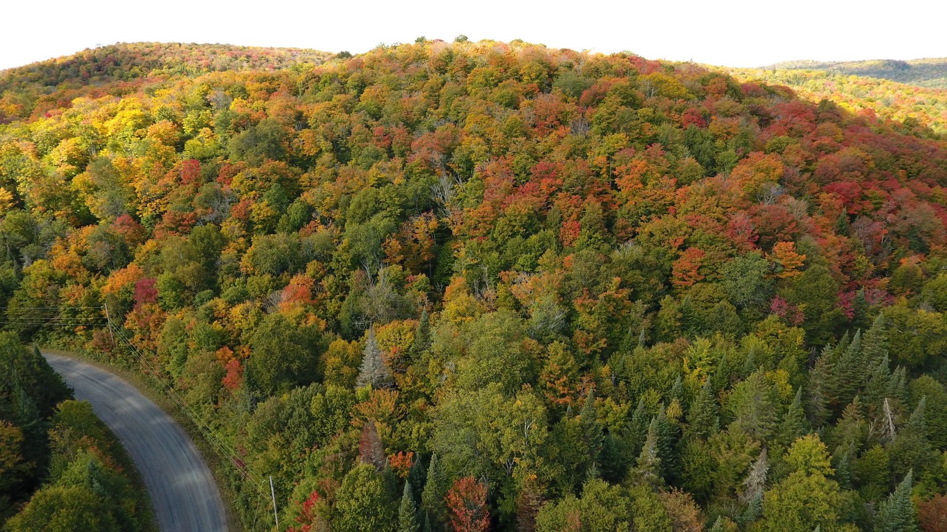 Terrain à vendre, Sainte-Marguerite-du-Lac-Masson