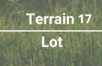 Terre/Terrain