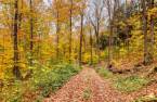 Terre/Terrain