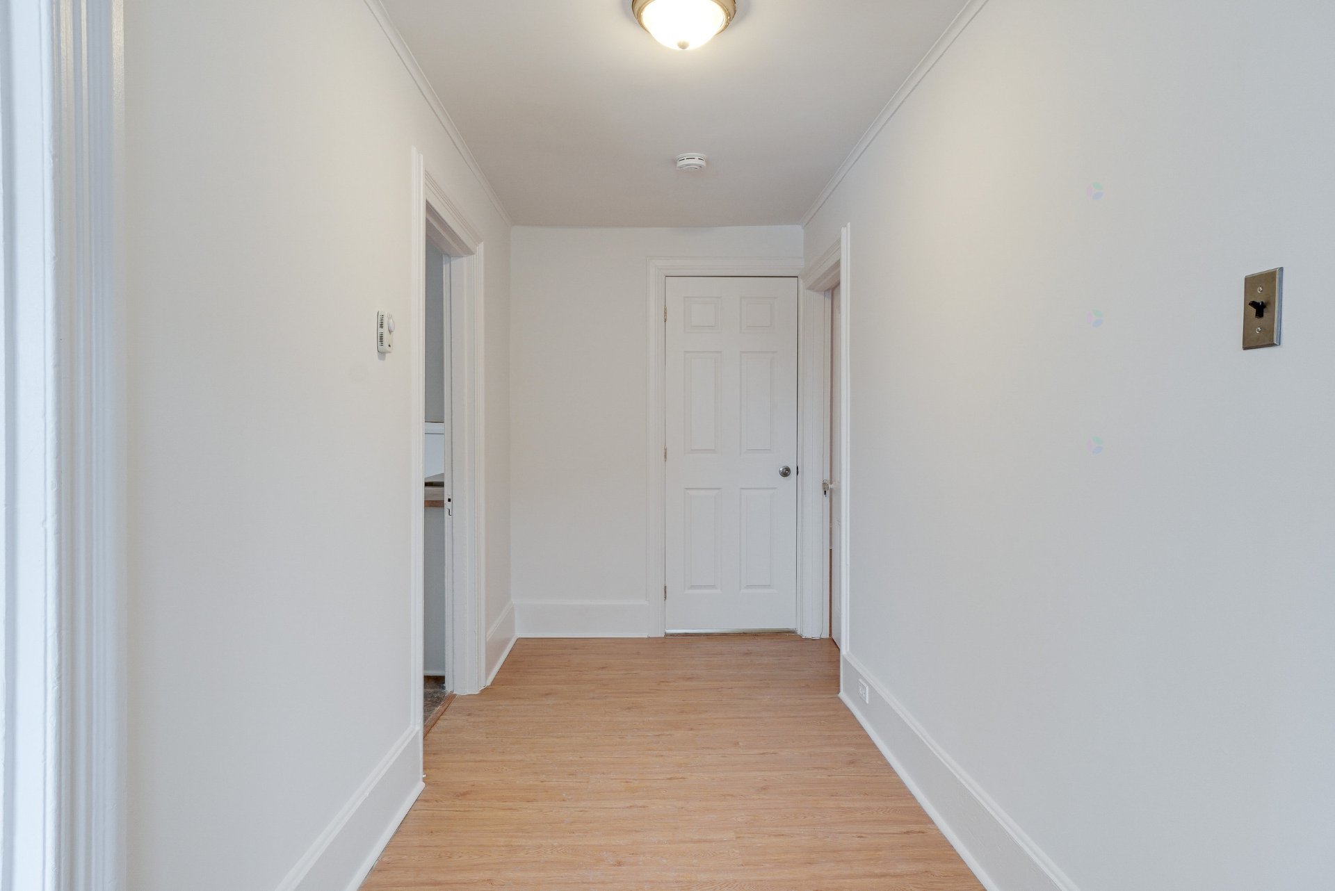 20 Rue St-Joseph — photo 3