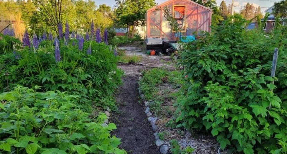 Jardin
