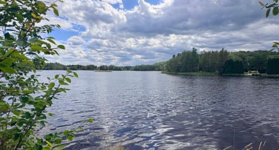 Vue sur l'eau