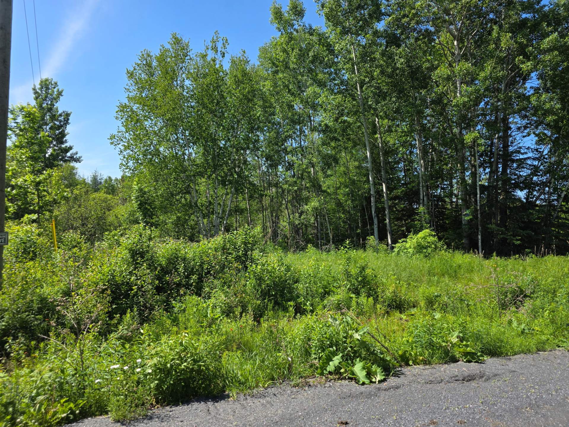 Ch. du Domaine-Bernier — photo 1