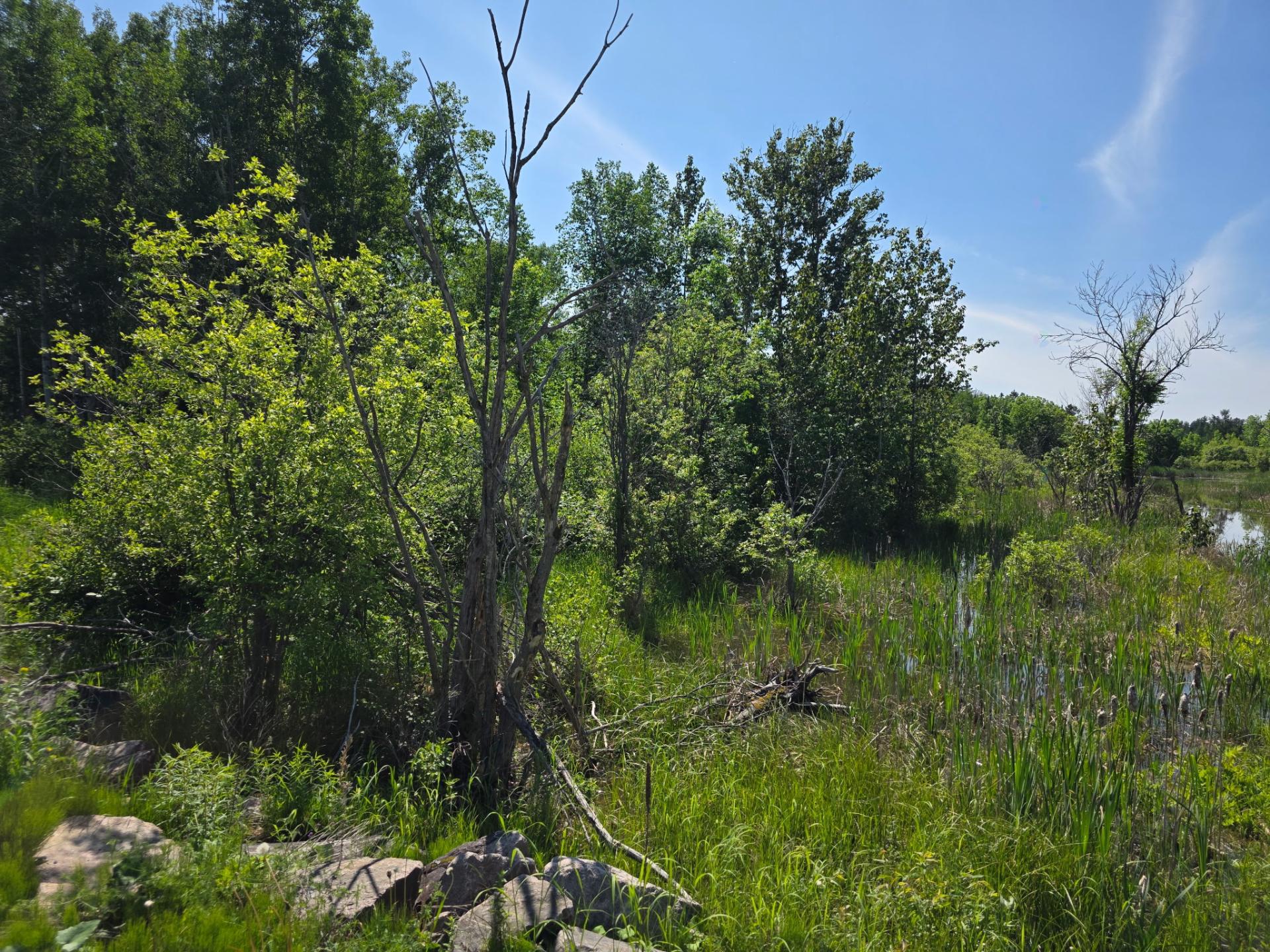 Ch. du Domaine-Bernier — photo 2