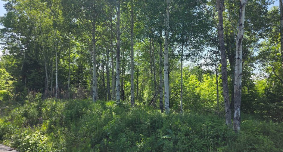 Vue d'ensemble