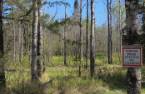 Terre/Terrain