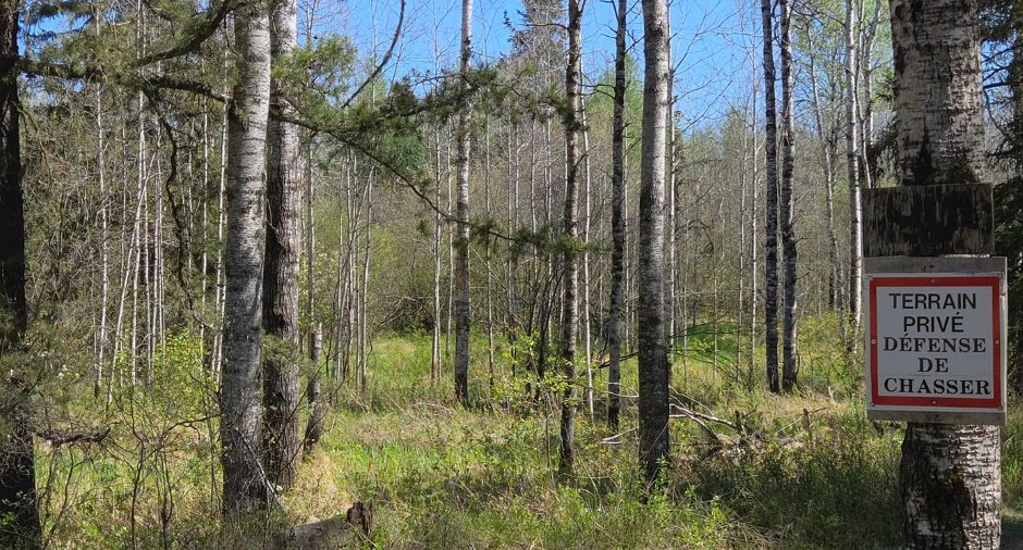Terre/Terrain