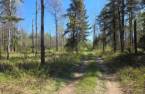 Terre/Terrain