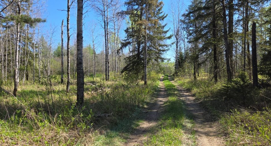 Terre/Terrain