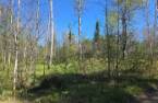 Terre/Terrain