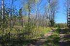 Terre/Terrain