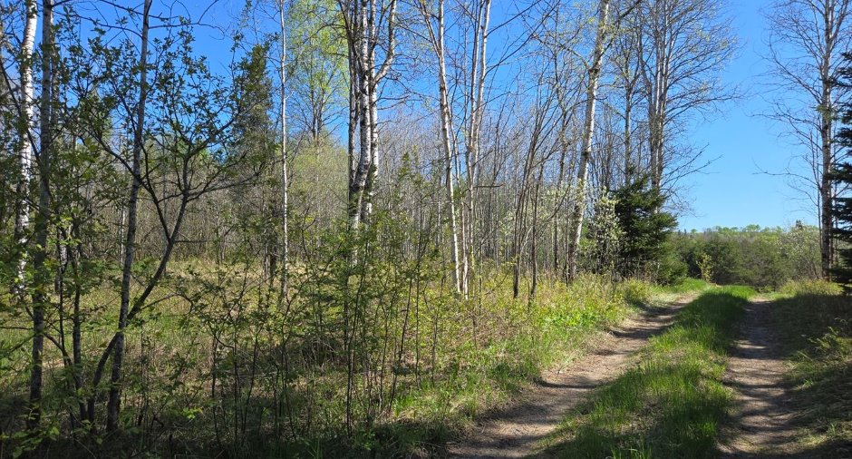 Terre/Terrain
