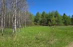 Terre/Terrain