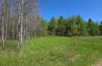 Terre/Terrain