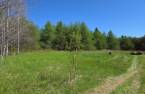 Terre à bois