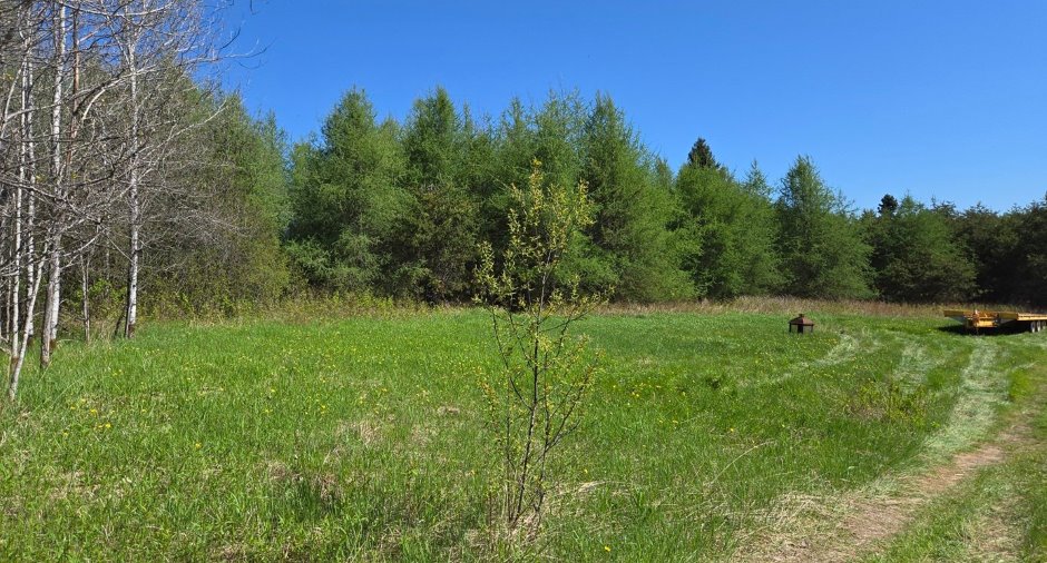Terre à bois