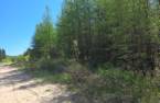 Terre/Terrain