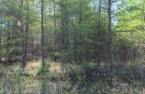 Terre/Terrain