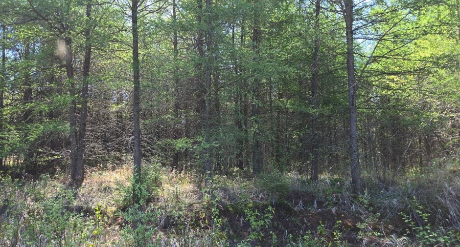 Terre/Terrain