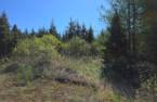 Terre/Terrain