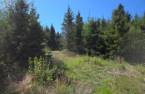 Terre/Terrain