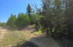 Terre/Terrain