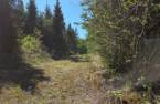Terre/Terrain