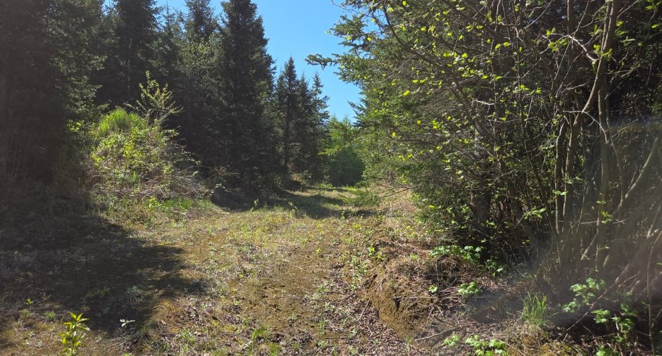 Terre/Terrain