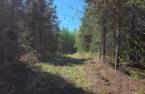 Terre/Terrain