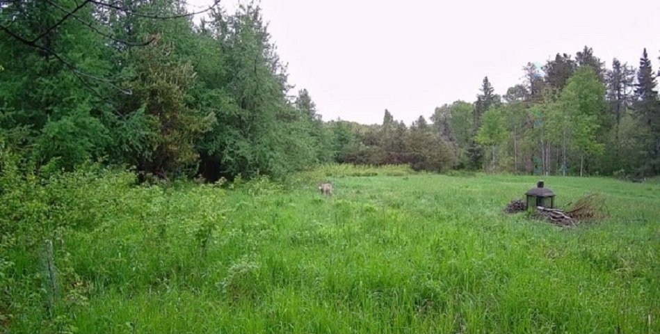 Ch. de St-Ignace S. — photo 3
