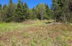 Terre/Terrain