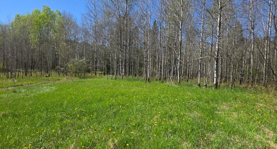 Terre/Terrain