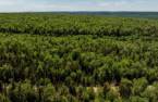 Terre/Terrain