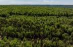 Terre/Terrain