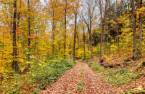 Land/Lot