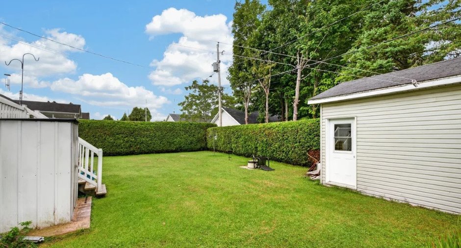Backyard