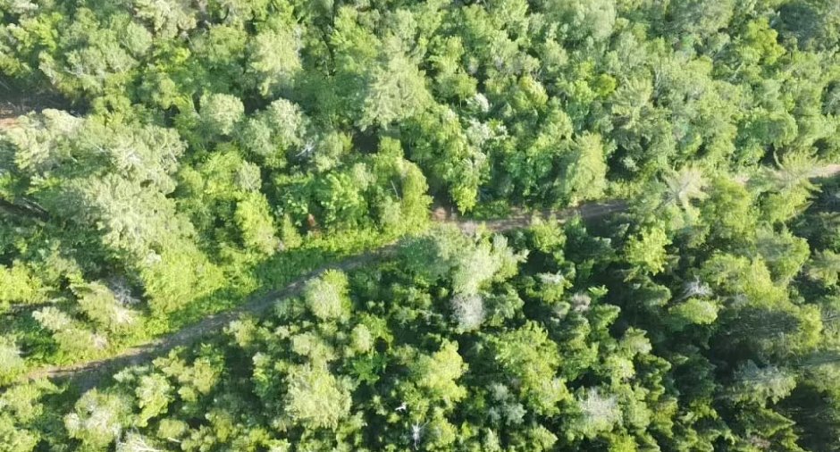 Terre à bois