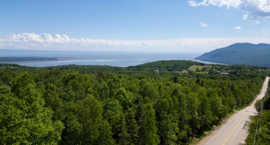 Land/Lot